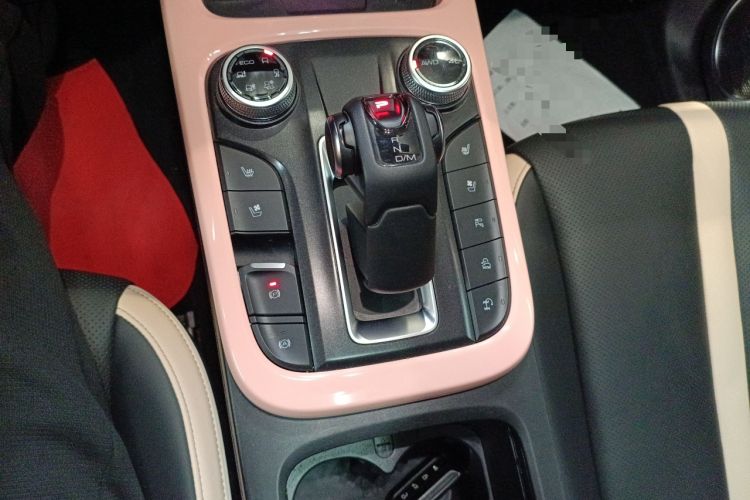 Used Tank 300 2021 City Edition 2.0T—Truly Stylish Gear Lever
