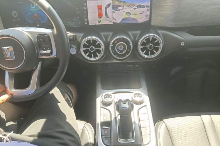 Used Tank 300 2021 City Edition 2.0T—Truly Stylish Gear Lever