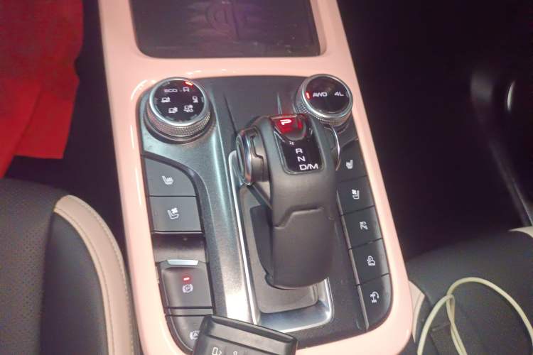 Used Tank 300 2021 City Edition 2.0T—Truly Stylish Gear Lever