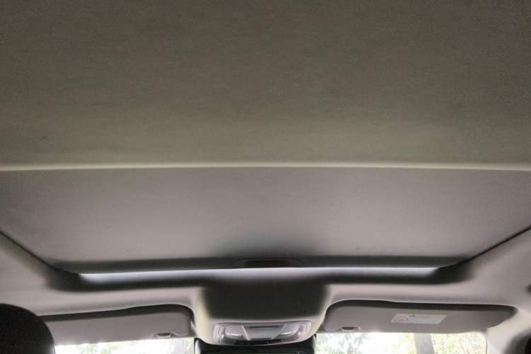 Used Tank 300 2021 Off-Road Edition 2.0T Conqueror Headliner