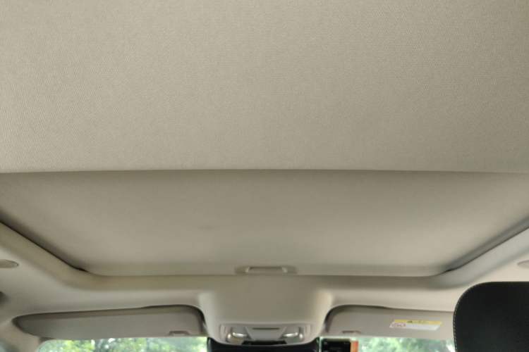 Used Tank 300 2021 City Edition 2.0T—Truly Stylish Headliner