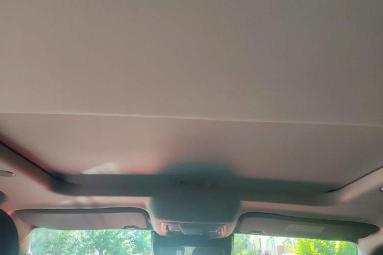 Used Tank 300 2021 City Edition 2.0T—Truly Stylish Headliner