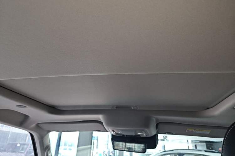 Used Tank 300 2021 City Edition 2.0T—Truly Stylish Headliner