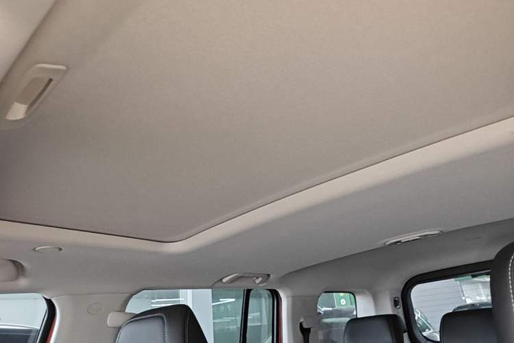 Used Tank 300 2021 City Edition 2.0T—Truly Stylish Headliner