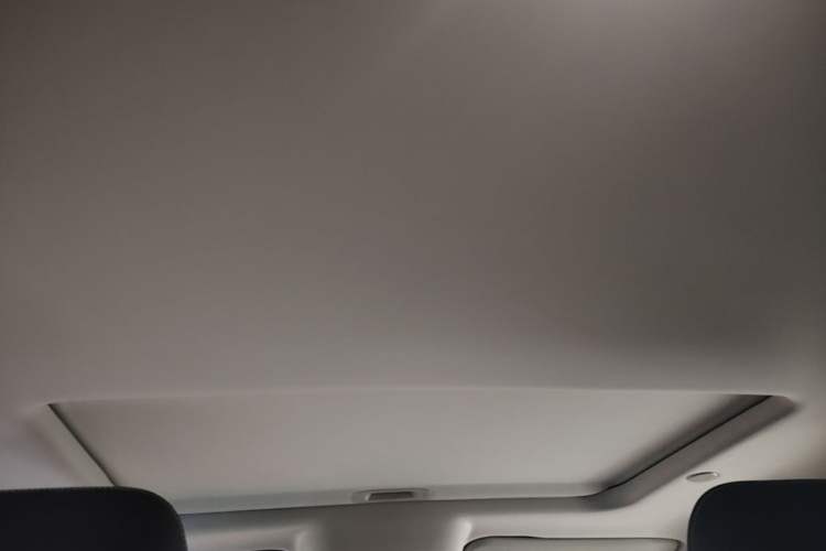 Used Tank 300 2021 City Edition 2.0T—Truly Stylish Headliner