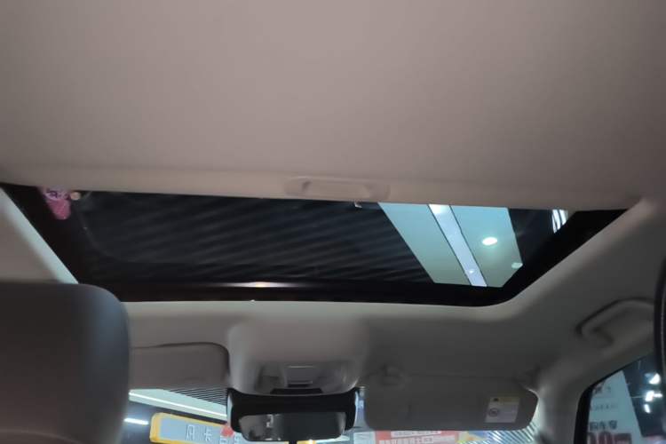 Used Tank 300 2021 Off-Road Edition 2.0T Conqueror Headliner