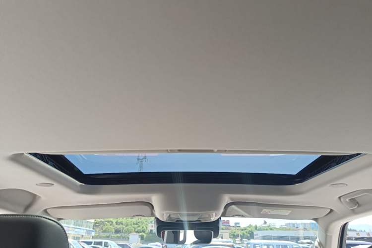 Used Tank 300 2021 City Edition 2.0T—Truly Stylish Headliner