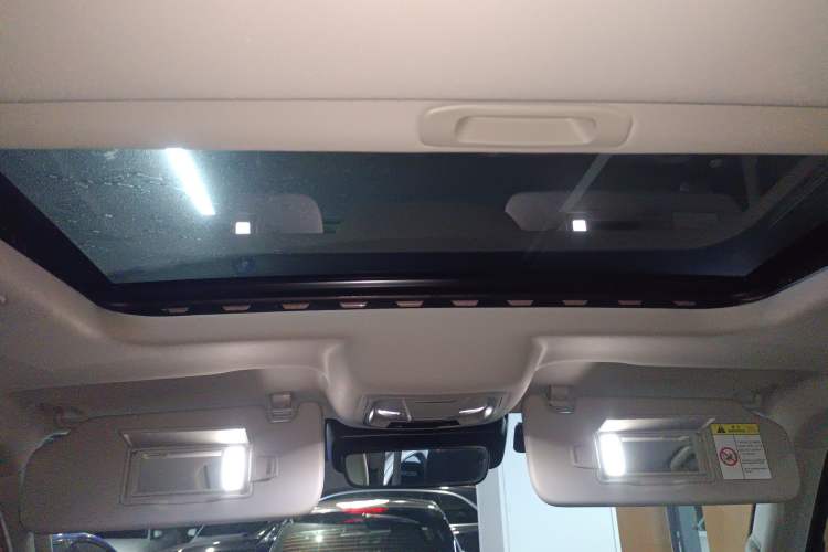 Used Tank 300 2021 City Edition 2.0T—Truly Stylish Headliner