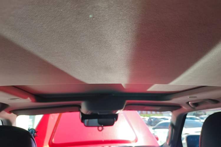 Used Tank 300 2021 City Edition 2.0T—Truly Stylish Headliner