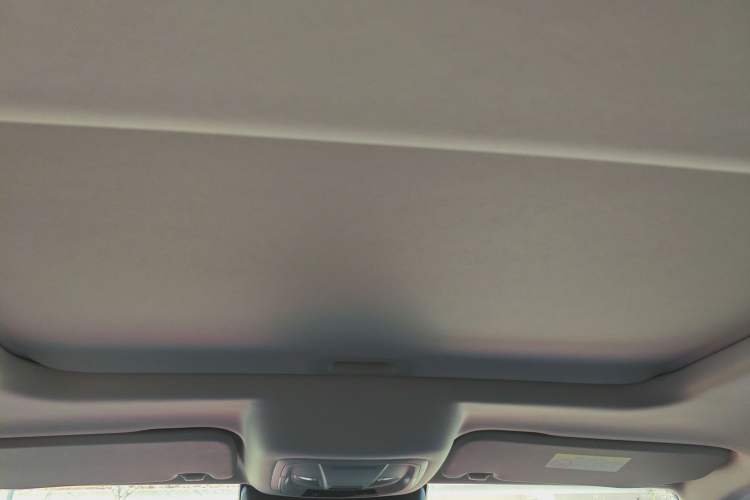 Used Tank 300 2021 City Edition 2.0T—Truly Stylish Headliner