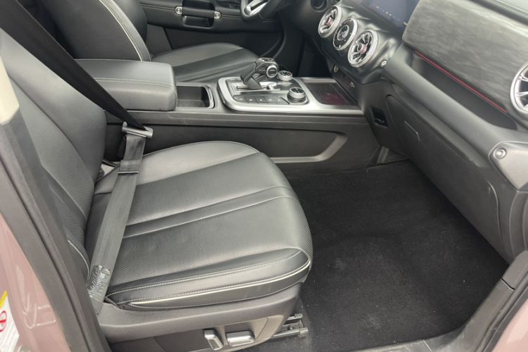 Used Tank 300 2021 City Edition 2.0T—Truly Stylish Interior 1