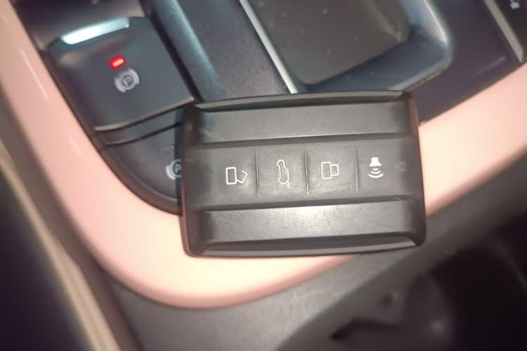 Used Tank 300 2021 City Edition 2.0T—Truly Stylish Interior 1