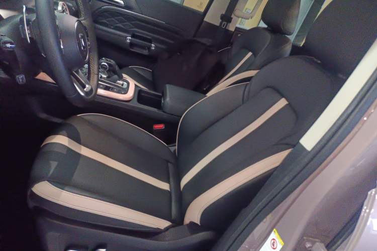 Used Tank 300 2021 City Edition 2.0T—Truly Stylish Left Front Seat