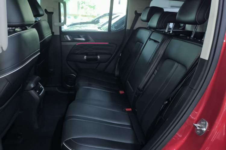 Used Tank 300 2021 City Edition 2.0T—Truly Stylish Left Rear Seat