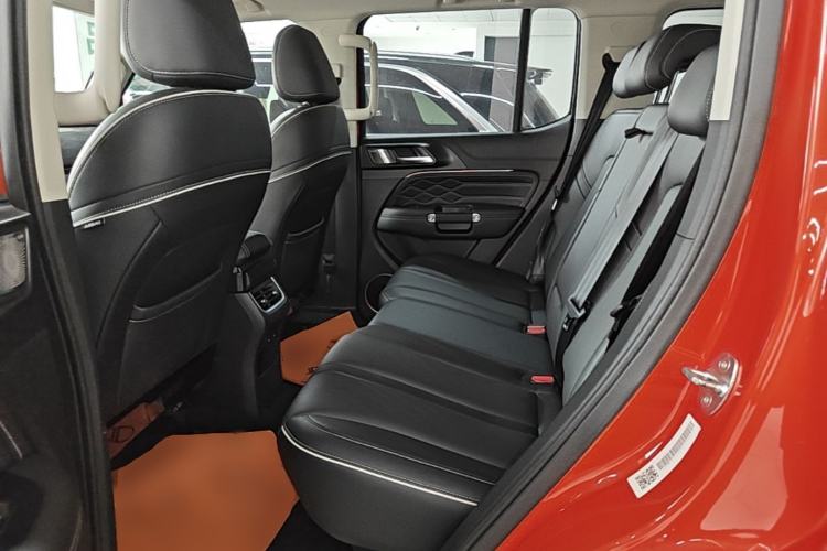 Used Tank 300 2021 City Edition 2.0T—Truly Stylish Left Rear Seat