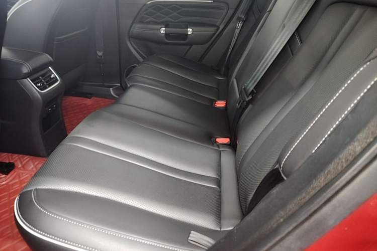 Used Tank 300 2021 City Edition 2.0T—Truly Stylish Left Rear Seat
