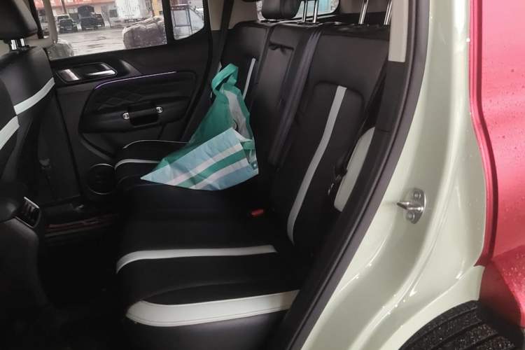 Used Tank 300 2021 City Edition 2.0T—Truly Stylish Left Rear Seat