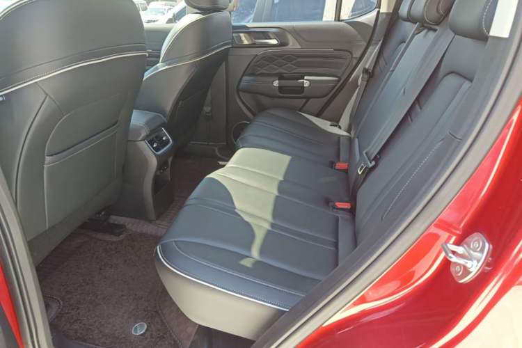 Used Tank 300 2021 City Edition 2.0T—Truly Stylish Left Rear Seat