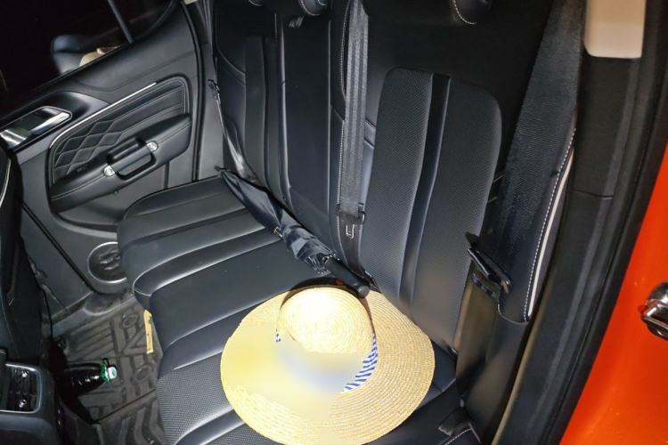 Used Tank 300 2021 Off-Road Edition 2.0T Conqueror Left Rear Seat
