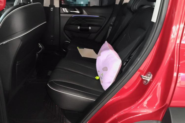 Used Tank 300 2021 Off-Road Edition 2.0T Conqueror Left Rear Seat