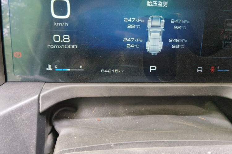 Used Tank 300 2021 Off-Road Edition 2.0T Conqueror Odometer Close Up