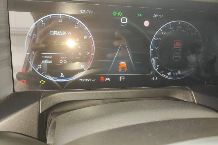Used Tank 300 2021 City Edition 2.0T—Truly Stylish Odometer Close Up
