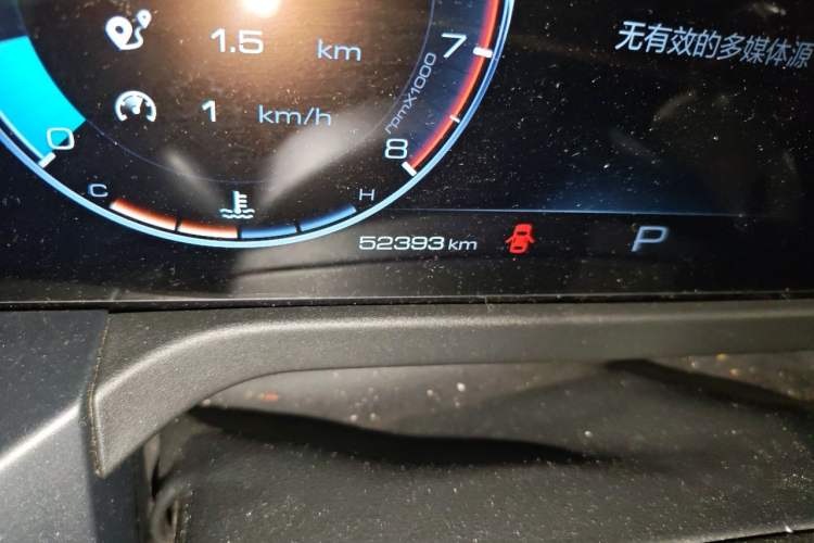 Used Tank 300 2021 Off-Road Edition 2.0T Conqueror Odometer Close Up