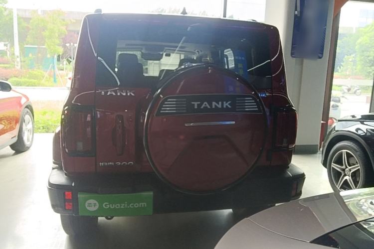 Used Tank 300 2021 City Edition 2.0T—Truly Stylish Rear