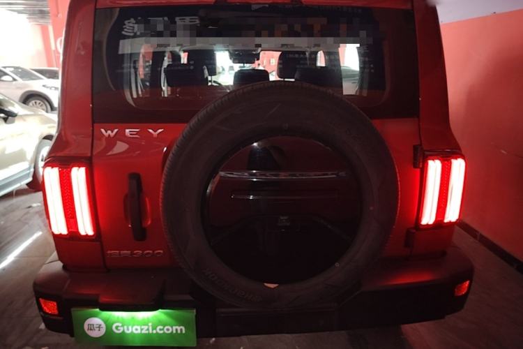 Used Tank 300 2021 Off-Road Edition 2.0T Conqueror Rear