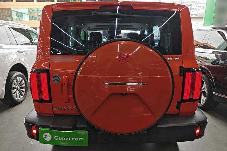 Used Tank 300 2021 City Edition 2.0T—Truly Stylish Rear
