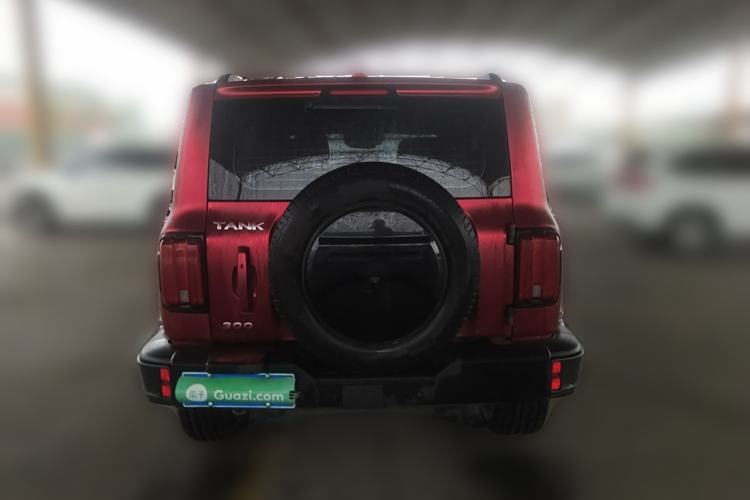 Used Tank 300 2021 City Edition 2.0T—Truly Stylish Rear