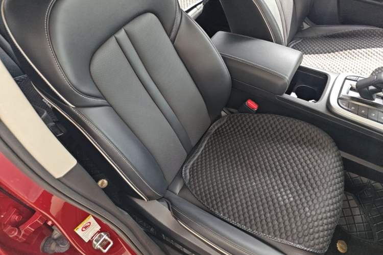 Used Tank 300 2021 City Edition 2.0T—Truly Stylish Right Front Seat