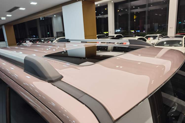 Used Tank 300 2021 City Edition 2.0T—Truly Stylish Roof