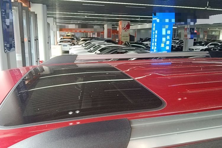 Used Tank 300 2021 City Edition 2.0T—Truly Stylish Roof