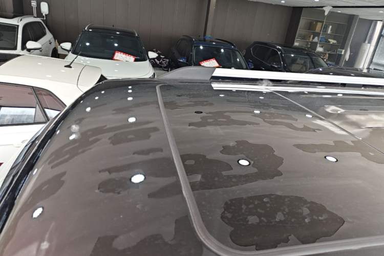 Used Tank 300 2021 City Edition 2.0T—Truly Stylish Roof