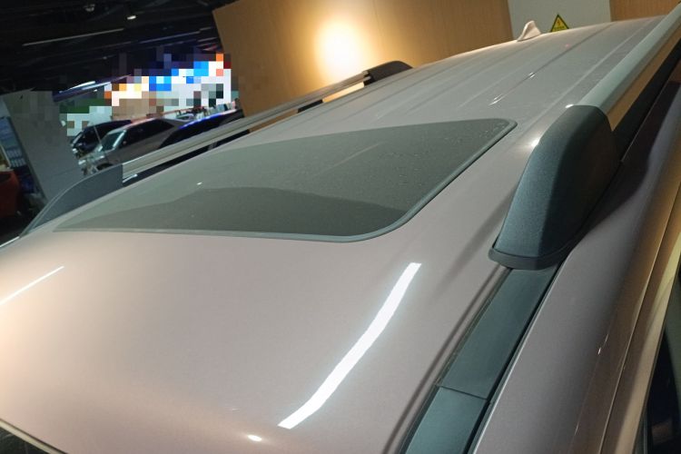 Used Tank 300 2021 City Edition 2.0T—Truly Stylish Roof