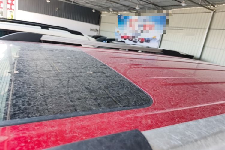 Used Tank 300 2021 City Edition 2.0T—Truly Stylish Roof