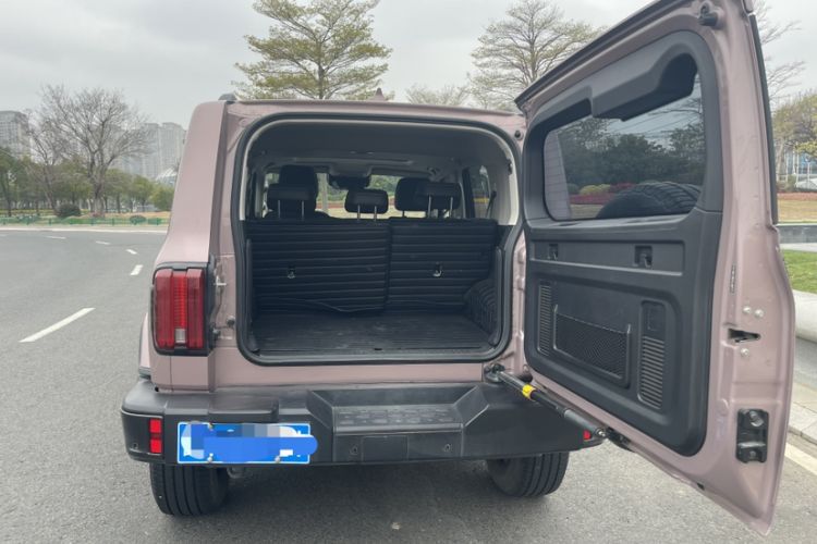 Used Tank 300 2021 City Edition 2.0T—Truly Stylish Trunk