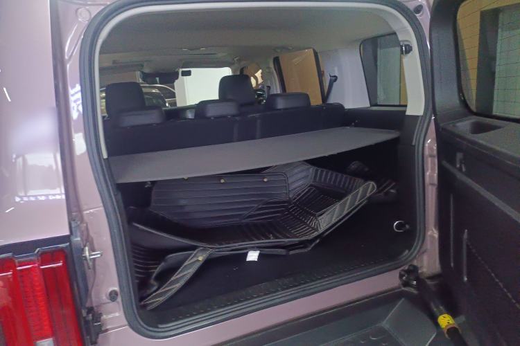 Used Tank 300 2021 City Edition 2.0T—Truly Stylish Trunk