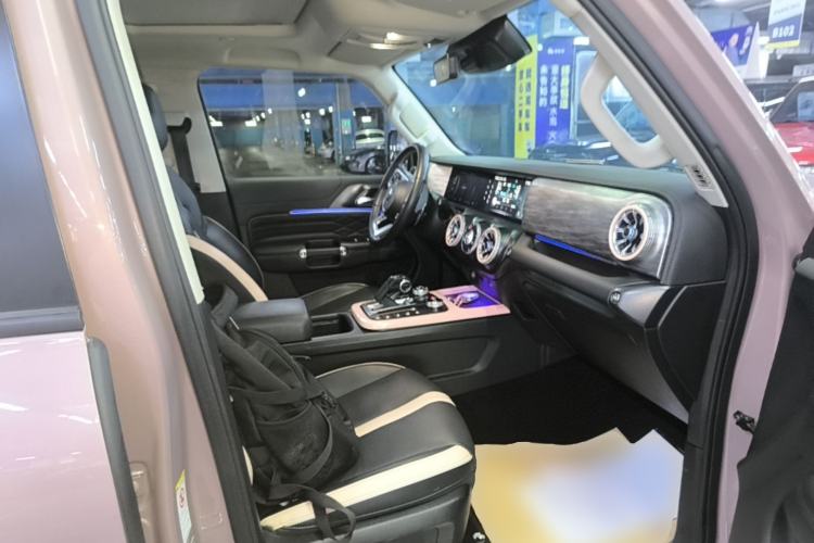 Used Tank 300 2021 City Edition 2.0T—Truly Stylish Right Front Seat
