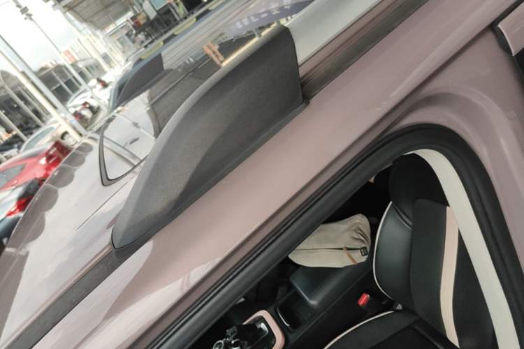 Used Tank 300 2021 City Edition 2.0T—Truly Stylish Roof