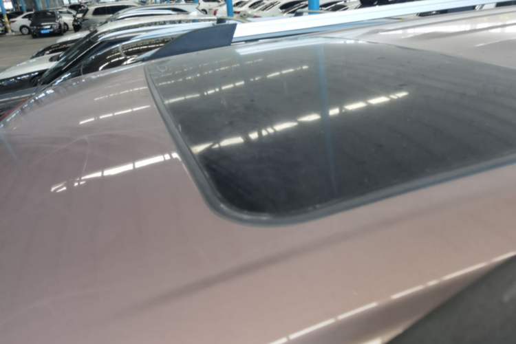 Used Tank 300 2021 City Edition 2.0T—Truly Stylish Roof