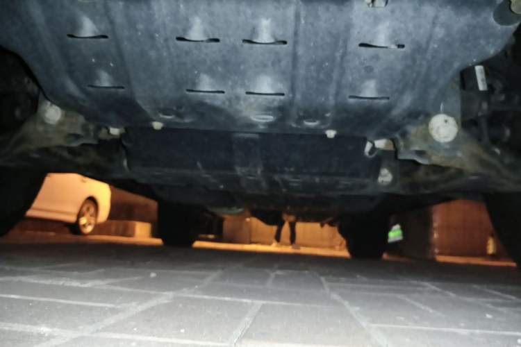 Used Tank 300 2021 Off-Road Edition 2.0T Conqueror Chassis Front