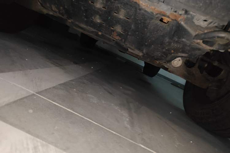 Used Tank 300 2021 City Edition 2.0T—Truly Stylish Chassis Front