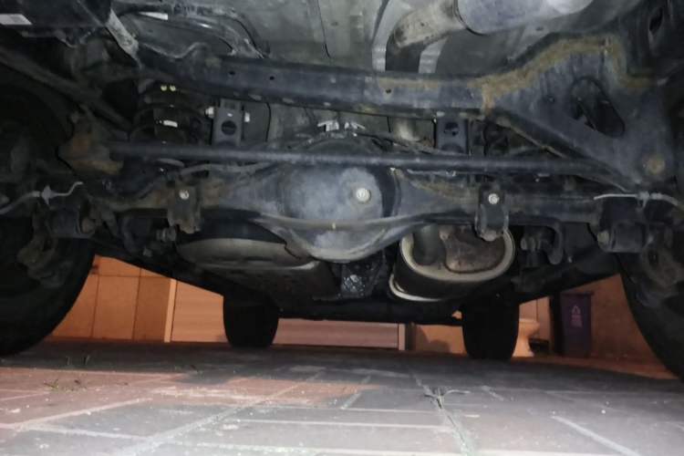 Used Tank 300 2021 Off-Road Edition 2.0T Conqueror Chassis Rear