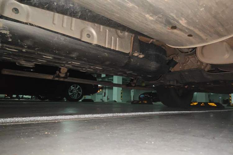 Used Tank 300 2021 City Edition 2.0T—Truly Stylish Chassis Rear