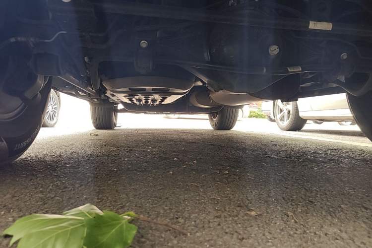 Used Tank 300 2021 Off-Road Edition 2.0T Conqueror Chassis Rear