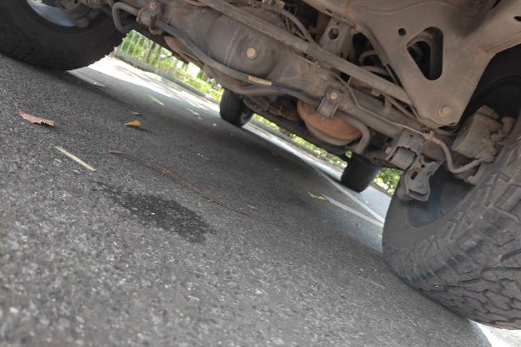 Used Tank 300 2021 Off-Road Edition 2.0T Challenger Chassis Rear