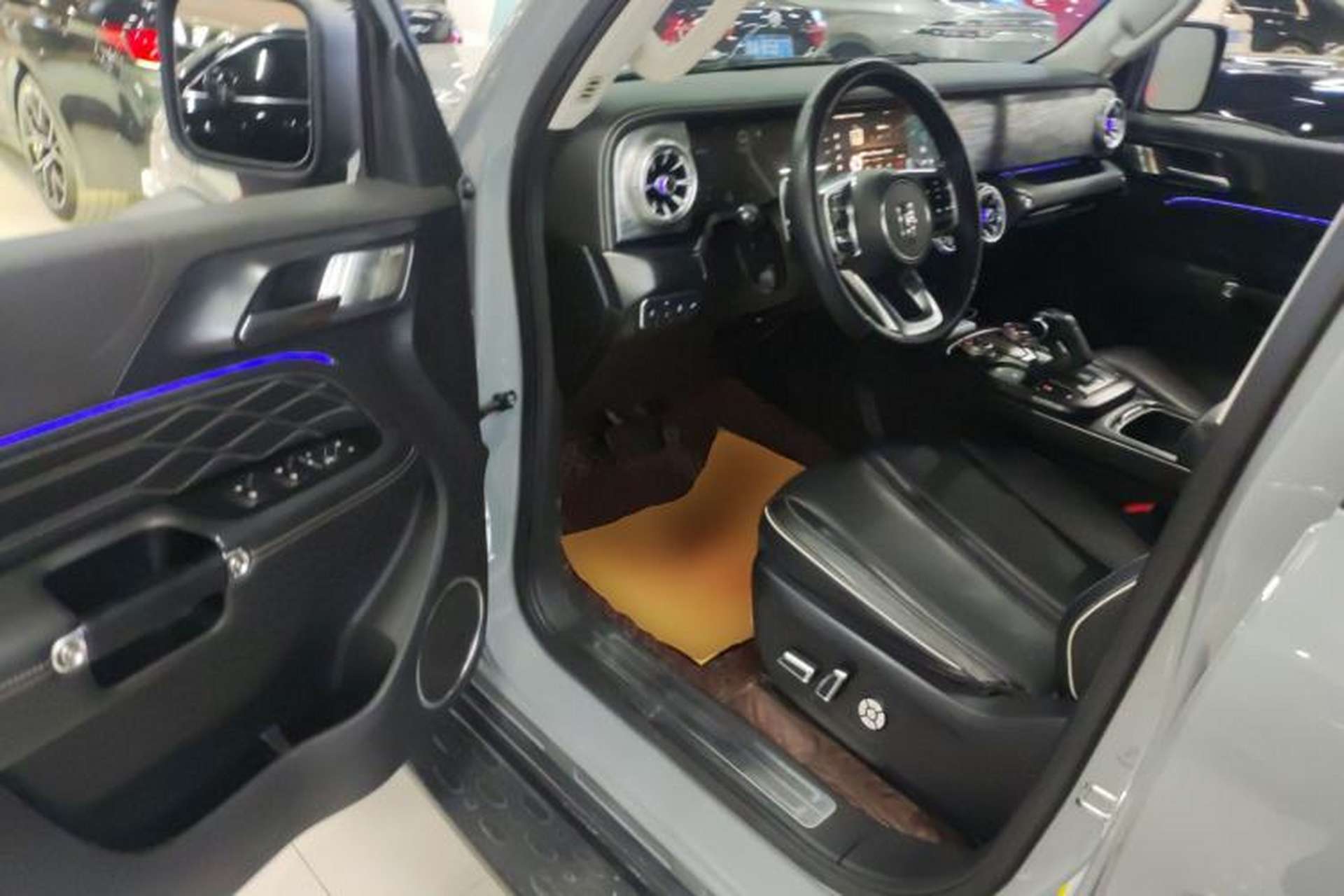 Used Tank 300 2021 Off-Road Edition 2.0T Conqueror Driver Seat