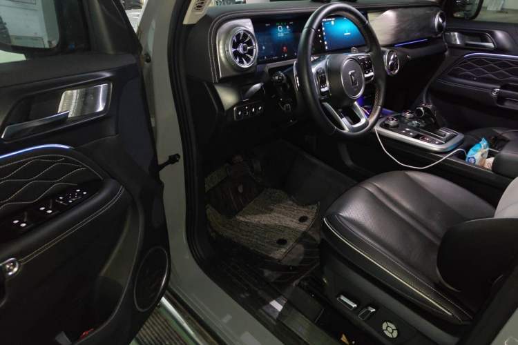 Used Tank 300 2021 City Edition 2.0T—Truly Stylish Driver Seat